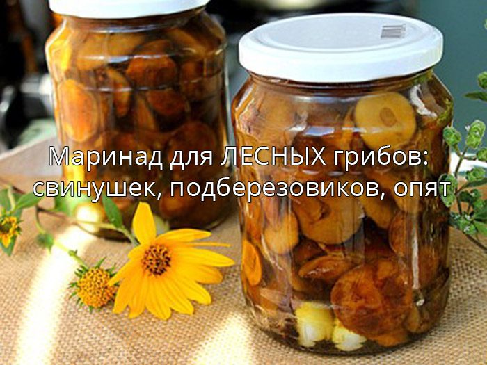 Маринад для ЛЕСНЫХ грибов: свинушек, подберезовиков, опят Marinovannye-lesnye-griby Рецепты на каждый день, маринады для мяса, салаты, закуски.